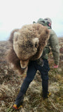 Altai Frame